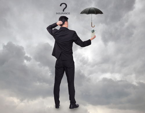 2013年產玉米種子出苗不佳的法律應對措施