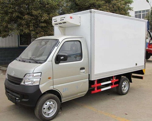 2021年度長(zhǎng)沙到貴陽(yáng)冷藏貨運(yùn)服務(wù) 冷鏈運(yùn)輸、冷凍貨運(yùn)與食品倉(cāng)儲(chǔ)一體化解決方案