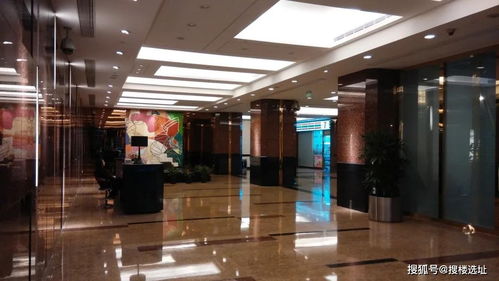 南京東路 人民廣場(chǎng)地區(qū)精品商務(wù)樓宇掠影之四 金融廣場(chǎng) 金融業(yè)務(wù)的璀璨樞紐